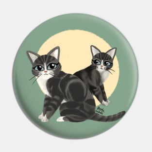 Lovely kitties Pin