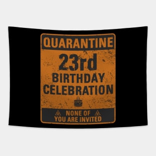 Quarantine 23rd Birthday Party Celebration Tapestry
