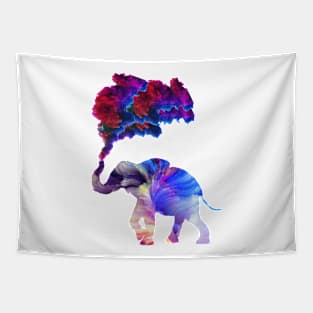 Rainbow Elephant Tapestry