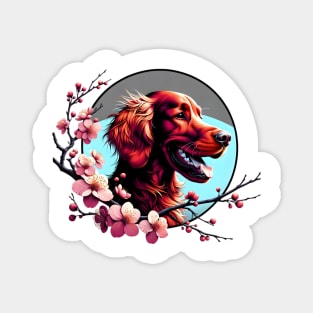 Joyful Irish Setter Amidst Spring Cherry Blossoms Magnet