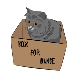 Cat in a Box T-Shirt