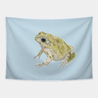 Common African Toad :: Reptiles and Amphibians Tapestry