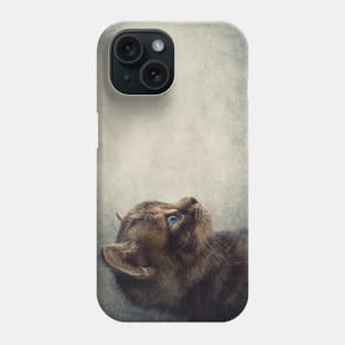 little tomcat Phone Case