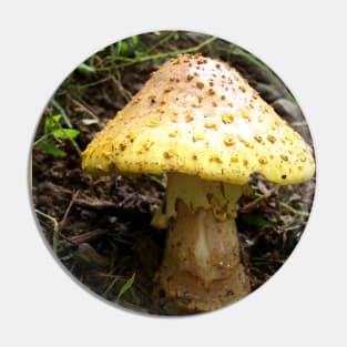 Lispe Toad Stool Pin