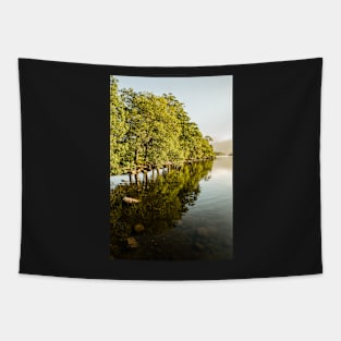 Low Brandelhow Shoreline Tapestry