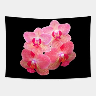 orchid floral orchids flower tendril Tapestry