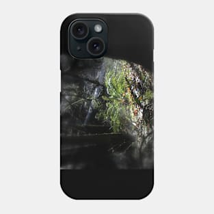 snowy Oregon forest 11 Phone Case