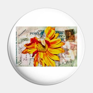 Gerbera Daisy on Vintage Postcard Pin