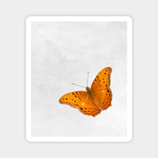 Butterfly and ghost on textured white Magnet