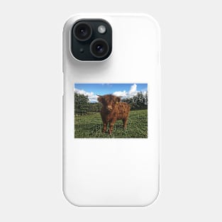 Scottish Highland Cattle Calf 2111 Phone Case