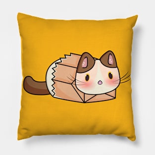 Cute cat in the box Pillow