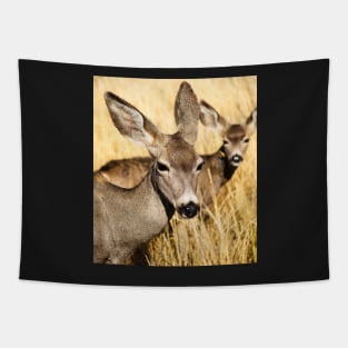 Whitetail Deer and Her Fawn Tapestry
