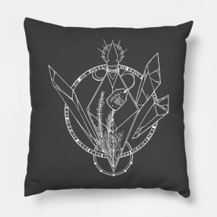 The Spell - Witchy Pals Club Series Pillow