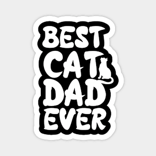 Novelty Best Cat Dad Ever Magnet