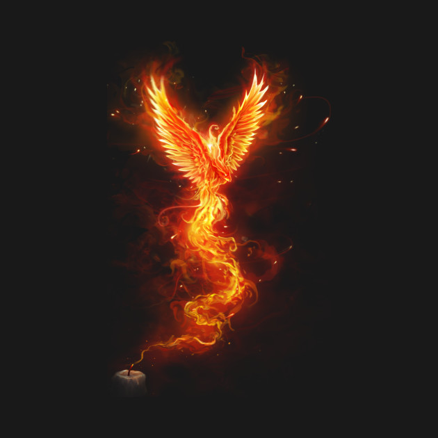 from the last spark phoenix phoenix on fire phoenix bird fire bird phoenix bird
