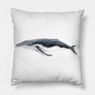 Humpback whale Megaptera novaeangliae Pillow