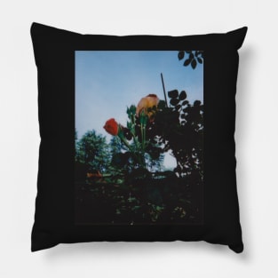 garden instax Pillow