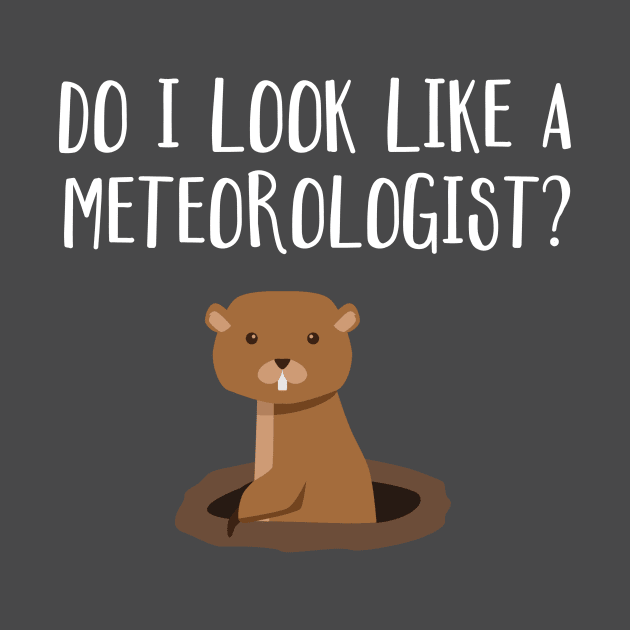 Do I Look Like A Meteorologist? Groundhog Day Funny by FlashMac