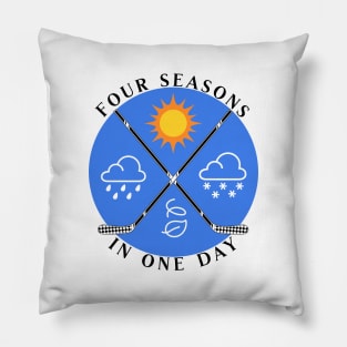 Four Seasons in One Day Pillow