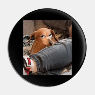 World's Best Weiner Dog Side-Eye Pin