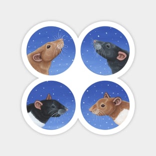 Christmas Rat Designs Magnet