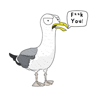 Sweary Seagull T-Shirt