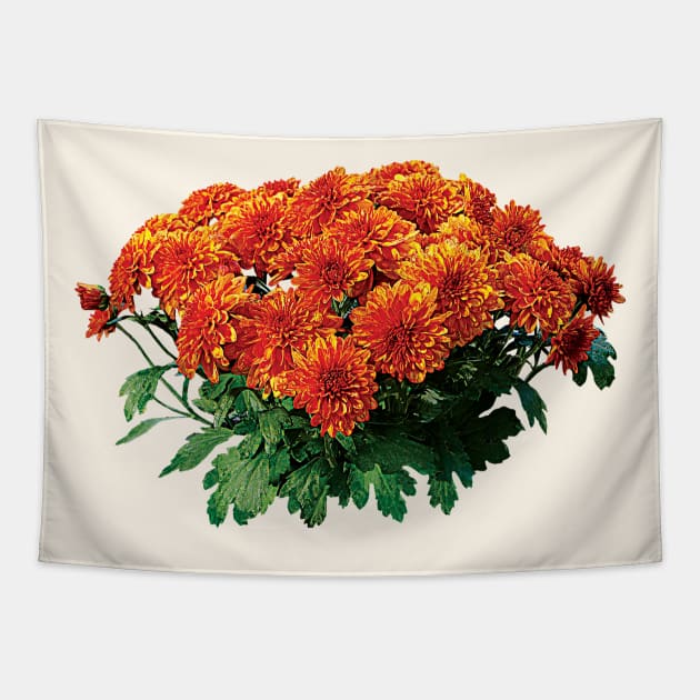 Chrysanthemums - Orange Chrysanthemum Bouquet Tapestry by SusanSavad