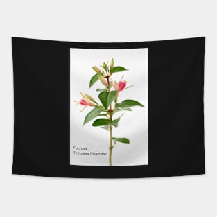 Fuchsia &#39;Princess Charlotte&#39; Tapestry