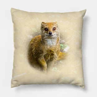 Yellow mongoose Pillow