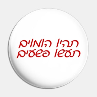 Be Gay, Do Crimes (Hebrew) Pin