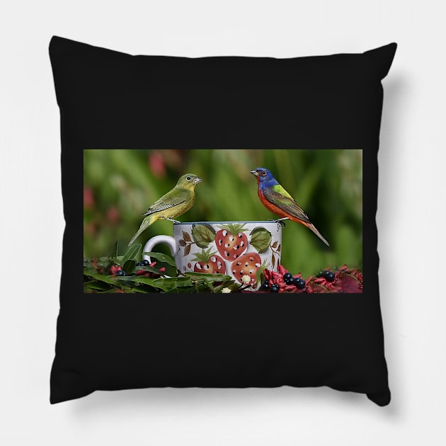 Painted Bunting Birds Pillow by candiscamera