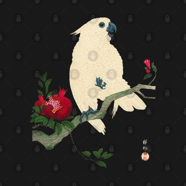 Cockatoo and Pomegranate by ArtOfSilentium