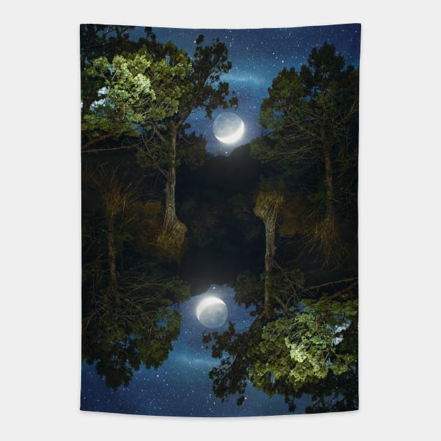 Moonset in coniferous forest Tapestry by va103