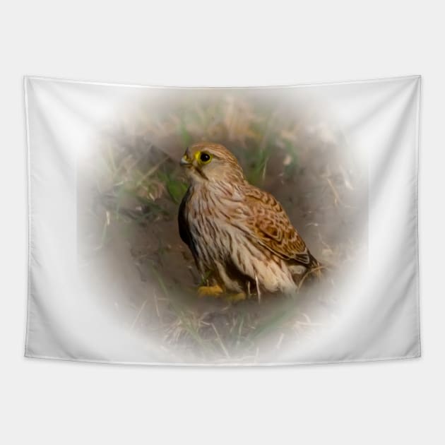 Kestrel Tapestry by Guardi