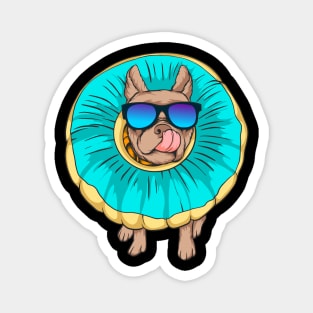 Boston Terrier Summer Retro Vibes Funny Dog Lover Gif Magnet