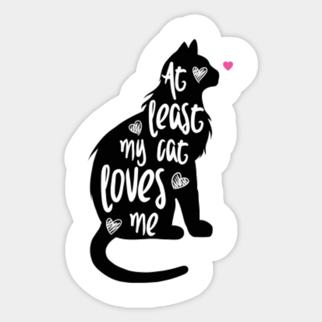 At Least My Cat Loves Me T Shirt Cat Kitty Shirt Love Cat