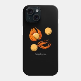 Physalis Peruviana Drawing - Cape Gooseberry Phone Case