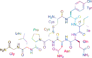 Oxytocin Hormone Of Love Magnet