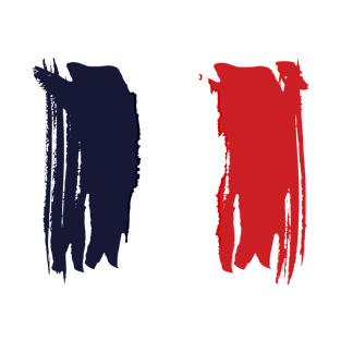 French Flag Paint Style T-Shirt