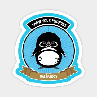 Galapagos Penguin - Know Your Penguins Magnet