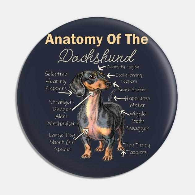 Dachshund Funny Anatomy Doxie Lover Pin by tamdevo1