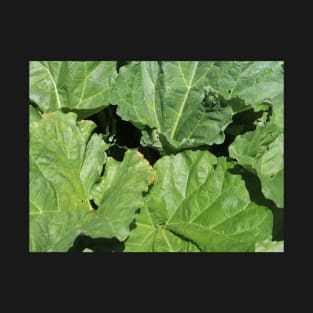 Rhubarb Leaves T-Shirt