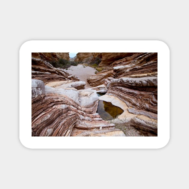 Ernst Tinaja water pools, Texas, USA (C033/6387) Magnet by SciencePhoto