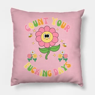 Count Your Fcking Days Cute Groovy Pillow