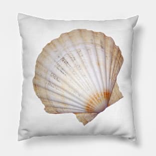 Fan seashell Pillow