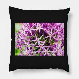 Star of Persia flower Pillow