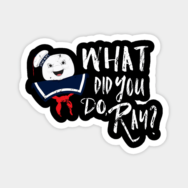 What Did You Do Magnet by JLaneDesign