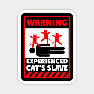 Experienced cats slave Magnet