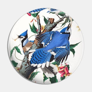 Blue Jay from Birds of America (1827) Pin