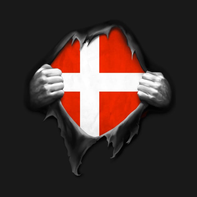 Denmark Flag DNA Roots Dannish Flag by nikolayjs